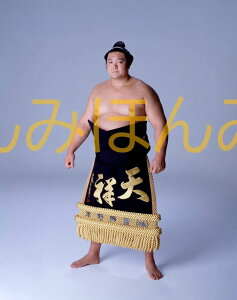 旭富士正也関　優勝ミニ額 大相撲ミニ額 大相撲優勝額　平成2年5月場所 優勝 大関 旭富士正也関（2回目の優勝）