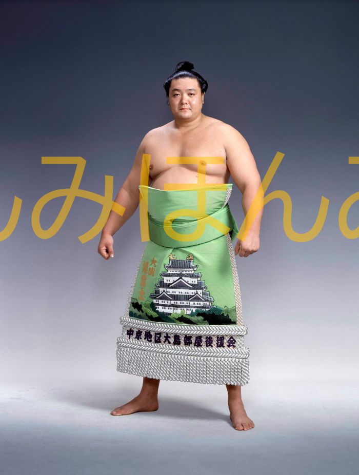 旭富士正也関 優勝ミニ額 大相撲ミニ額 大相撲優勝額 平成2年7月場所 優勝 大関 旭富士正也関(3回目の優勝)優勝記念品 相撲グッズ 力士グッズ 相撲取りグッ...