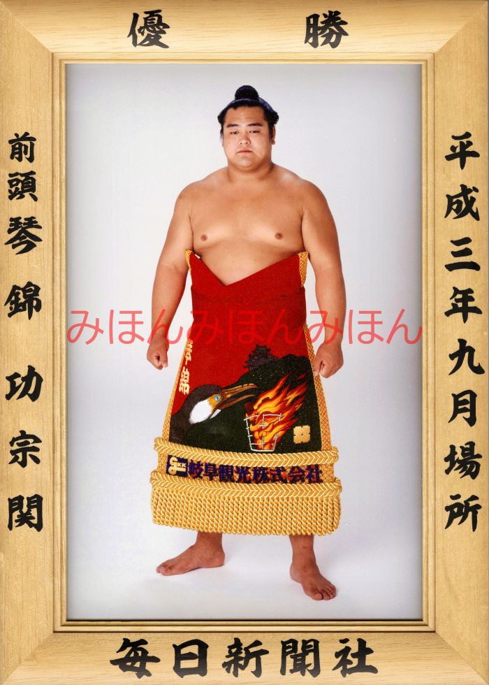 琴錦功宗関 優勝ミニ額 大相撲ミニ額 大相撲優勝額 平成3年9月場所 優勝 前頭 琴錦功宗関(初優勝)優勝記念品 相撲グッズ 力士グッズ 相撲取りグッズ 国技館...