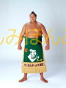 曙太郎関 優勝ミニ額 大相撲ミニ額 大相撲優勝額 平成4年5月場所 優勝 関脇 曙太郎関（初優勝）