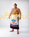 曙太郎関 優勝ミニ額 大相撲ミニ額 大相撲優勝額 平成4年11月場所 優勝 大関 曙太郎関(2回目の優勝)優勝記念品 相撲グッズ 力士グッズ 相撲取りグッズ 国...