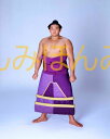 貴ノ花光司関 優勝ミニ額 大相撲ミニ額 大相撲優勝額 平成5年5月場所 優勝 大関 貴ノ花光司関(3回目の優勝)優勝記念品 相撲グッズ 力士グッズ 相撲取りグッ...
