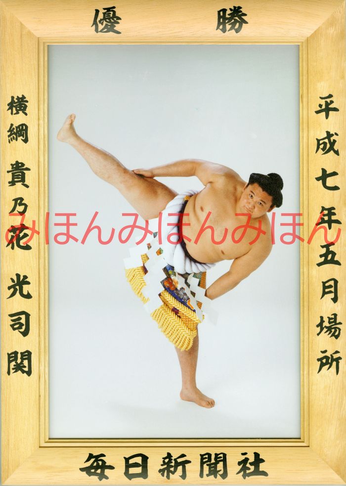 貴乃花光司関 優勝ミニ額 大相撲ミニ額 大相撲優勝額 平成7年5月場所 優勝 横綱 貴乃花光司関(9回目の優勝)優勝記念品 相撲グッズ 力士グッズ 相撲取りグッ...