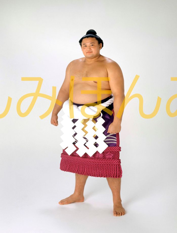 貴乃花光司関 優勝ミニ額 大相撲ミニ額 大相撲優勝額 平成7年7月場所 優勝 横綱 貴乃花光司関(10回目の優勝)優勝記念品 相撲グッズ 力士グッズ 相撲取りグ...