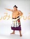 貴乃花光司関 優勝ミニ額 大相撲ミニ額 大相撲優勝額 平成7年9月場所 全勝 横綱 貴乃花光司関(11回目の優勝)優勝記念品 相撲グッズ 力士グッズ 相撲取りグッズ 国技館 限定品 記念品 コレクション 写真 H0709