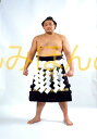 貴乃花光司関 優勝ミニ額 大相撲ミニ額 大相撲優勝額 平成8年3月場所 優勝 横綱 貴乃花光司関(12回目の優勝)優勝記念品 相撲グッズ 力士グッズ 相撲取りグッズ 国技館 限定品 記念品 コレクション 写真 H0803