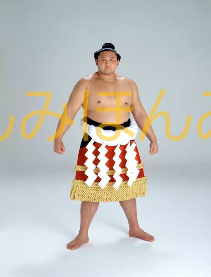 貴乃花光司関　優勝ミニ額 大相撲ミニ額 大相撲優勝額　平成8年5月場所 優勝 横綱 貴乃花光司関（13回目の優勝）優勝記念品 相撲グッズ 力士グッズ 相撲取りグッズ 国技館 限定品 記念品 コレクション 写真 お相撲さん 送料無料