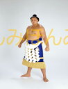 貴乃花光司関 優勝ミニ額 大相撲ミニ額 大相撲優勝額 平成8年7月場所 優勝 横綱 貴乃花光司関(14回目の優勝)優勝記念品 相撲グッズ 力士グッズ 相撲取りグッズ 国技館 限定品 記念品 コレクション 写真 H0807