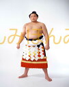 貴乃花光司関 優勝ミニ額 大相撲ミニ額 大相撲優勝額 平成9年3月場所 優勝 横綱 貴乃花光司関（16回目の優勝）