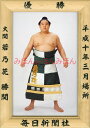 若乃花勝関 優勝ミニ額 大相撲ミニ額 大相撲優勝額 平成10年3月場所 優勝 大関 若乃花勝関（4回目の優勝）