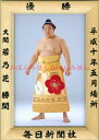 若乃花勝関 優勝ミニ額 大相撲ミニ額 大相撲優勝額 平成10年5月場所 優勝 大関 若乃花勝関（5回目の優勝）