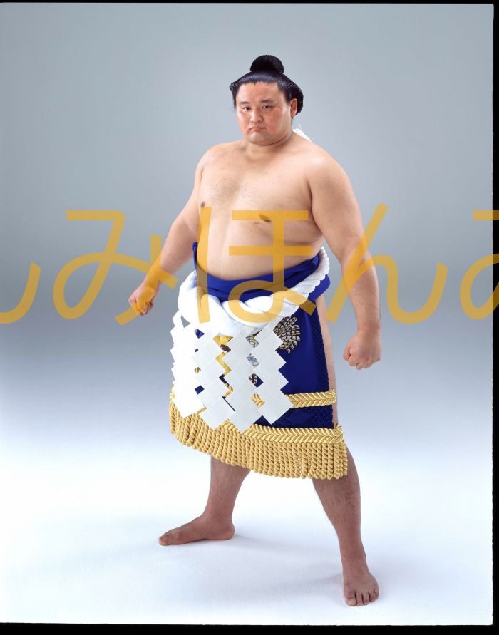 楽天市場】貴乃花光司の通販 楽天市場】貴乃花光司の通販