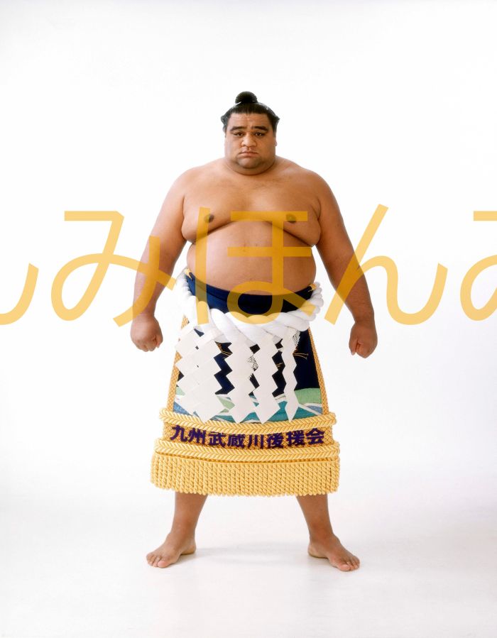 武蔵丸光洋関 優勝ミニ額 大相撲ミニ額 大相撲優勝額 平成11年11月場所 優勝 横綱 武蔵丸光洋関(7回目の優勝)優勝記念品 相撲グッズ 力士グッズ 相撲取り...