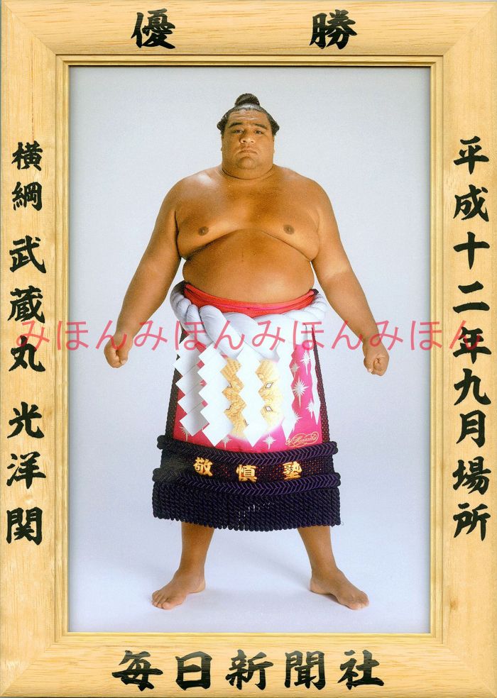 武蔵丸光洋関 優勝ミニ額 大相撲ミニ額 大相撲優勝額 平成12年9月場所 優勝 横綱 武蔵丸光洋関(8回目の優勝)優勝記念品 相撲グッズ 力士グッズ 相撲取りグ...