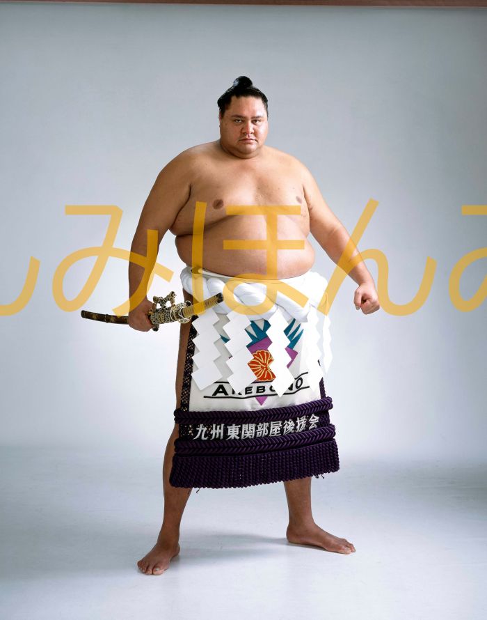 曙太郎関 優勝ミニ額 大相撲ミニ額 大相撲優勝額 平成12年11月場所 優勝 横綱 曙太郎関(11回目最後の優勝)優勝記念品 相撲グッズ 力士グッズ 相撲取りグ...