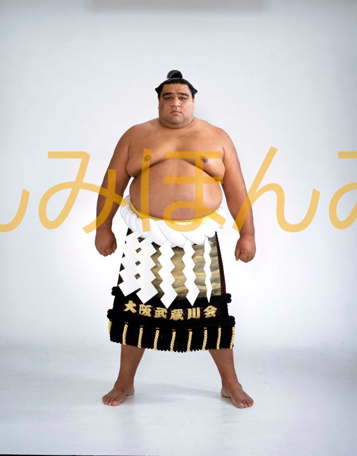 武蔵丸光洋関 優勝ミニ額 大相撲ミニ額 大相撲優勝額 平成13年11月場所 優勝 横綱 武蔵丸光洋関(9回目の優勝)優勝記念品 相撲グッズ 力士グッズ 相撲取り...