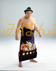 栃東大裕関 優勝ミニ額 大相撲ミニ額 大相撲優勝額 平成14年1月場所 優勝 大関 栃東大裕関(初優勝)優勝記念品 相撲グッズ 力士グッズ 相撲取りグッズ 国技館 限定品 記念品 コレクション 写真 H1401