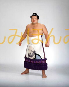 栃東大裕関 優勝ミニ額 大相撲ミニ額 大相撲優勝額 平成15年11月場所 優勝 大関 栃東大裕関(2回目の優勝)優勝記念品 相撲グッズ 力士グッズ 相撲取りグッズ 国技館 限定品 記念品 コレクション 写真 H1511