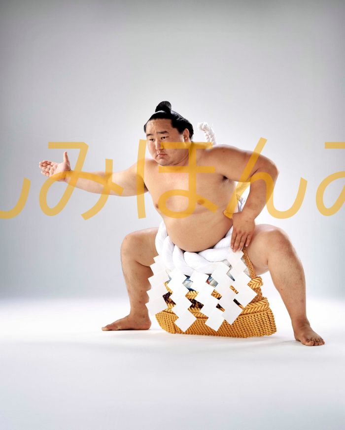 朝青龍明徳関 優勝ミニ額 大相撲ミニ額 大相撲優勝額 平成17年7月場所 優勝 横綱 朝青龍明徳関(13回目の優勝)優勝記念品 相撲グッズ 力士グッズ 相撲取り...