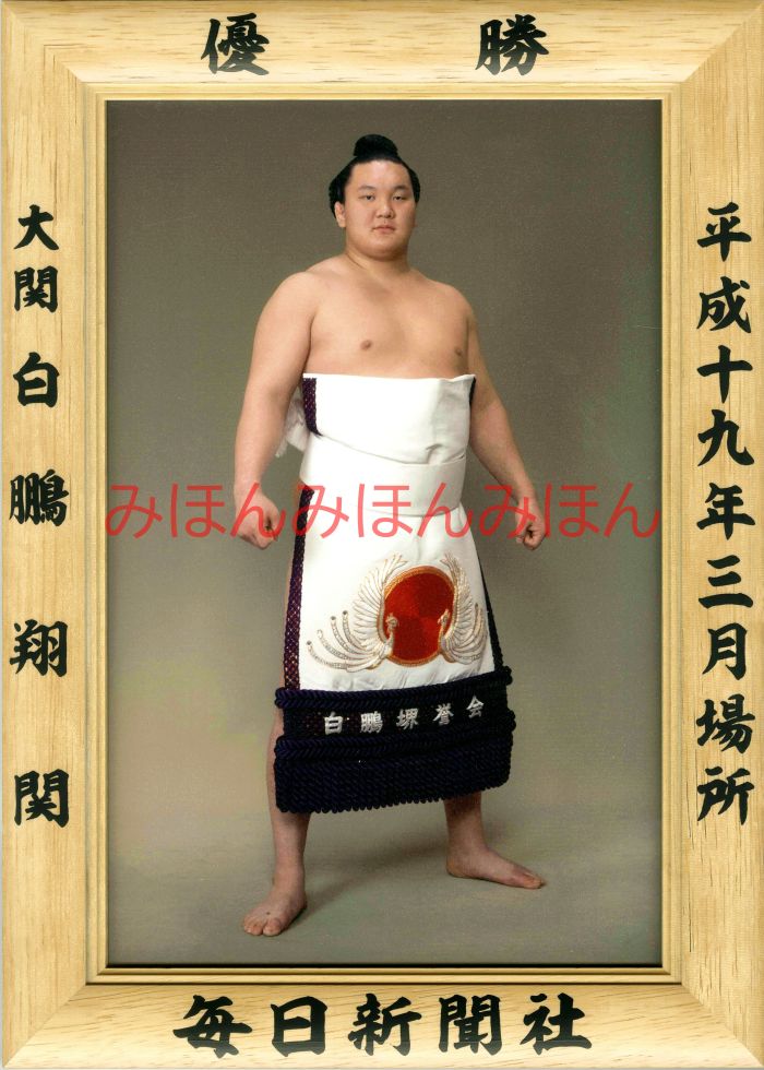 白鵬翔関 優勝ミニ額 大相撲ミニ額 大相撲優勝額 平成19年3月場所 優勝 大関 白鵬翔関(2回目の優勝)優勝記念品 相撲グッズ 力士グッズ 相撲取りグッズ 国...