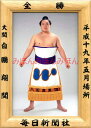 白鵬翔関 優勝ミニ額 大相撲ミニ額 大相撲優勝額 平成19年5月場所 全勝 大関 白鵬翔関(3回目の優勝)優勝記念品 相撲グッズ 力士グッズ 相撲取りグッズ 国技館 限定品 記念品 コレクション 写真 H1905