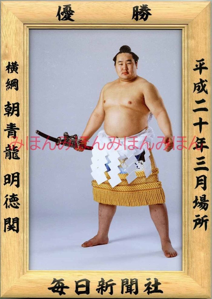 朝青龍明徳関 優勝ミニ額 大相撲ミニ額 大相撲優勝額 平成20年3月場所 優勝 横綱 朝青龍明徳関(22回目の優勝)優勝記念品 相撲グッズ 力士グッズ 相撲取り...