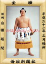白鵬翔関 優勝ミニ額 大相撲ミニ額 大相撲優勝額 平成21年3月場所 全勝 横綱 白鵬翔関(10回目の優勝)優勝記念品 相撲グッズ 力士グッズ 相撲取りグッズ 国技館 限定品 記念品 コレクション 写真 H2103