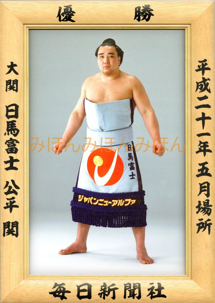 日馬富士公平関 優勝ミニ額 大相撲ミニ額 大相撲優勝額 平成21年5月場所 優勝 大関 日馬富士公平関(初優勝)優勝記念品 相撲グッズ 力士グッズ 相撲取りグッ...