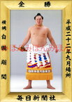 白鵬翔関　優勝ミニ額 大相撲ミニ額 大相撲優勝額　平成22年9月場所 全勝 横綱 白鵬翔関（16回目の優勝）