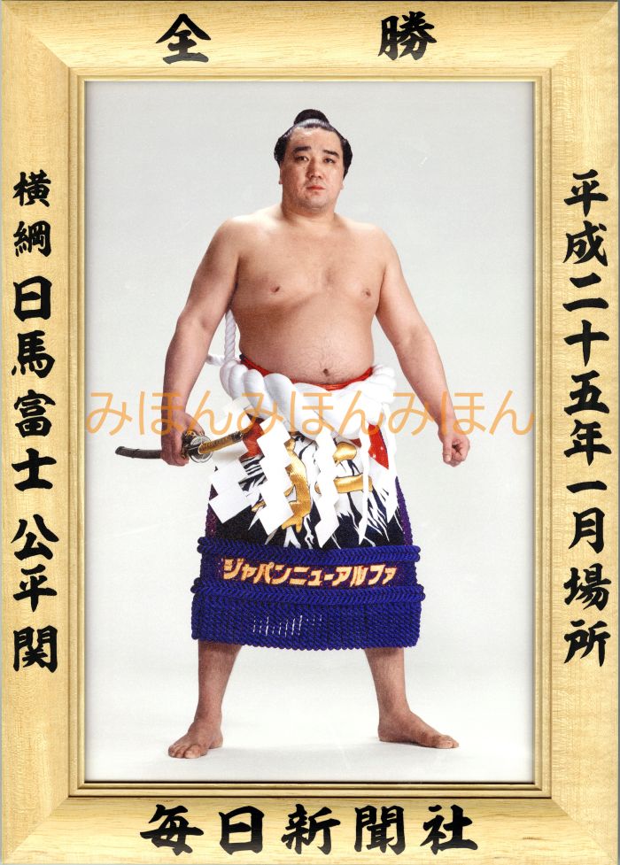 日馬富士公平関　優勝ミニ額 大相撲ミニ額 大相撲優勝額　平成25年1月場所 全勝 横綱 日馬富士公平 ...