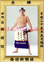 白鵬翔関 優勝ミニ額 大相撲ミニ額 大相撲優勝額 平成25年5月場所 全勝 横綱 白鵬翔関(25回目の優勝)優勝記念品 相撲グッズ 力士グッズ 相撲取りグッズ ...