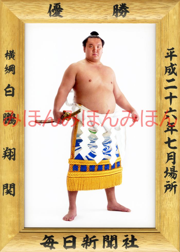 白鵬翔関　優勝ミニ額 大相撲ミニ額 大相撲優勝額　平成26年7月場所 優勝 横綱 白鵬翔関（30回目 ...