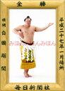 白鵬翔関 優勝ミニ額 大相撲ミニ額 大相撲優勝額 平成27(2015)年1月場所 全勝 横綱 白鵬翔関(33回目の優勝)優勝記念品 相撲グッズ 力士グッズ 相撲取りグッズ 国技館 限定品 記念品 コレクション 写真 H2701