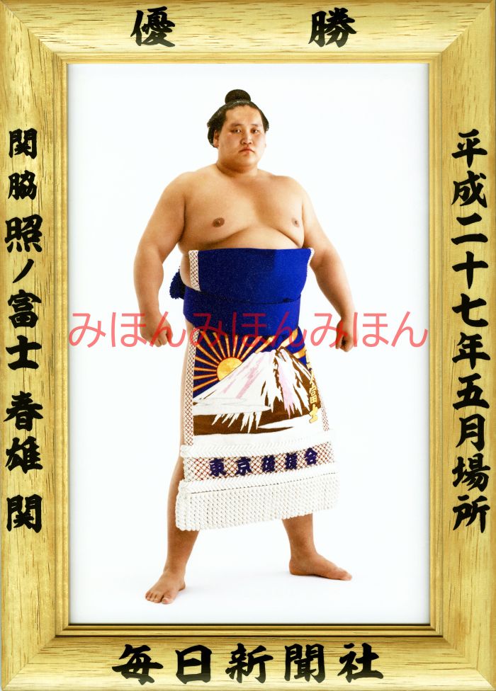 【最大2000円OFFクーポン】照ノ富士春雄関　優勝ミニ額 大相撲ミニ額 大相撲優勝額　平成27（2 ...