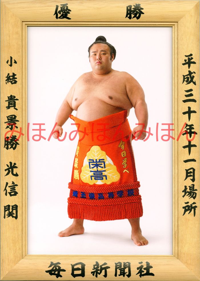 貴景勝光信関 優勝ミニ額 大相撲ミニ額 大相撲優勝額 平成30(2018)年11月場所 優勝 小結 貴景勝光信関(初優勝)優勝記念品 相撲グッズ 力士グッズ 相...