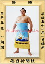 玉鷲一朗関 優勝ミニ額 大相撲ミニ額 大相撲優勝額 平成31(2019)年1月場所 優勝 関脇 玉鷲一朗関(初優勝)優勝記念品 相撲グッズ 力士グッズ 相撲取り...