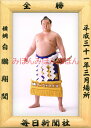 白鵬翔関 優勝ミニ額 大相撲ミニ額 大相撲優勝額 平成31(2019)年3月場所 全勝 横綱 白鵬翔関(42回目の優勝)優勝記念品 相撲グッズ 力士グッズ 相撲...