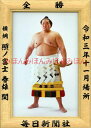 照ノ富士春雄関 優勝ミニ額 大相撲ミニ額 大相撲優勝額 令和3(2021)年11月場所 全勝 横綱 照ノ富士 春雄関(6回目)優勝記念品 相撲グッズ 力士グッズ...