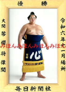 琴櫻将傑関 優勝ミニ額 大相撲 ミニ額 大相撲 優勝額 令和6(2024)年11月場所 優勝 大関 琴櫻 関(初優勝)優勝記念品 相撲グッズ 力士グッズ 相撲取りグッズ 国技館 限定品 記念品 コレクション 写真 R0611
