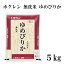 ホクレン 無洗米 ゆめぴりか 5kg 令和5年産 北海道産