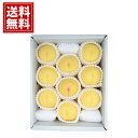 岡山県産 岡山白桃(1.9kg) 送料無料 お得 御礼 ギフトお土産 お供え 内祝 ご挨拶 ギフトセット 快気祝 お返し 手土産 プレゼント お返し