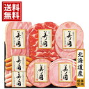 日本ハム 北海道 プレミアム 美ノ国 送料無料 お得 御礼 ギフトお土産 お供え 内祝 ご挨拶 ギフトセット 快気祝 お返し 手土産 プレゼント お返し お中元