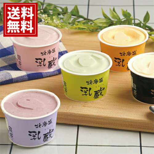 乳蔵 北海道アイスクリーム5種12個 送料無料 お得 御礼 ギフトお土産 お供え 内祝 ご挨拶 ギフトセット 快気祝 お返し 手土産 プレゼント お返し お中元 25夏110131のサムネイル