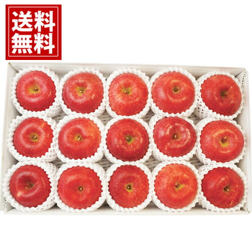 長野県産 サンふじりんご（3．4kg） 送料無料 お得 御礼 ギフトお土産 お供え 内祝 ご挨拶 ギフトセッ..