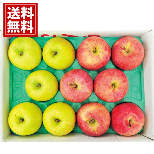 青森県産 サンふじりんご＆王林（3kg） 送料無料 お得 御礼 ギフトお土産 お供え 内祝 ご挨拶 ギフトセ..