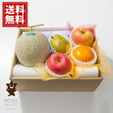 ホシフルーツ おまかせ旬のフルーツ BOX C 【送料無料】 旬 フルーツ 食べ頃 詰合せ 季節のフルーツ 内祝 お返し ギフト お礼 ご挨拶 出産 人気 誕生...