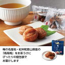 【今だけP最大48倍】【16%OFF】 ノベルティー 梅干し 【送料無料】 【40個単位】にっぽん美食めぐり 紀州南高梅 梅干し ノベルティー 激安 梅干し 5...