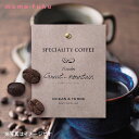 母の日 プレゼント Speciality Coffee 09 エクアドル ドリップコーヒー オーシャンテール 内祝い 出産内祝い ギフトセット 母の日 父の日 バースデー プレゼント 敬老会 プレゼント デイサービス 施設 食べ