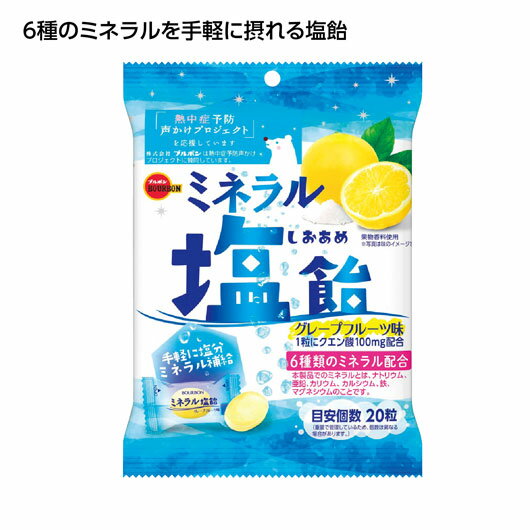 Rakuten - 【クーポン有り】 プチギフト お菓子 200円 【48個単位】ブルボン　ミネラル塩飴 キャンディー・飴・キャラメル プチギフト お菓子 スイーツ・お菓子 キャンディー・飴・キャラメル 200円 人気 200円台 敬老会 プレゼント イベント
