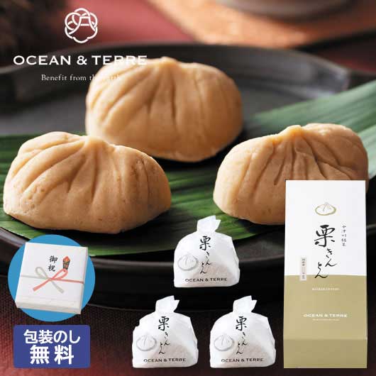 【クーポン有】 お歳暮 冬ギフト お菓子 クリスマス お菓子 個包装 【包装】中津川銘菓 栗きんとん3個 和菓子 オーシャンテール プチギフト お菓子 出産内祝...